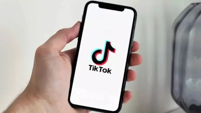 TikTok Login